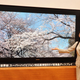 Illustration for article titled Are You Ready for IMAX-Caliber SUPER HI-VISION TVs?!